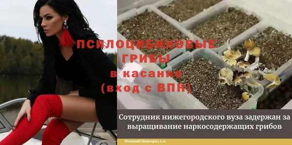 СК Наволоки