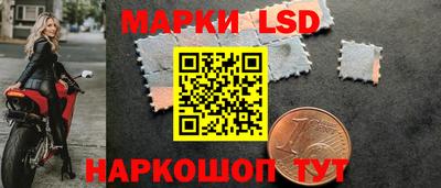 стафф Краснознаменск