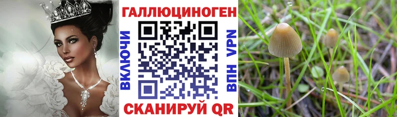 Галлюциногенные грибы MAGIC MUSHROOMS  Кропоткин 